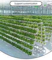 Tuyaux hydroponiques en PVC de qualité alimentaire pour système hydroponique de serre, utilisés dans la culture de fraises