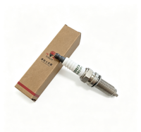 Bougie d'allumage haute performance TORCH OE230 Iridium Platinum, espacement de 0,7 mm, M12x1,25 pour moteur H15RT H15R 1.5T 1.5L