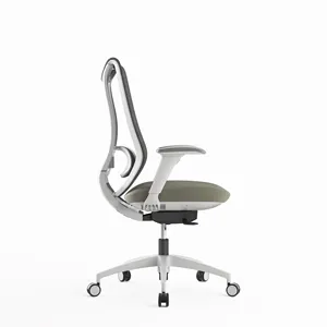 Đồ nội thất Nghiên Cứu Văn phòng 4D Máy Trạm nhà thoải mái ghế Ergonomic trắng khung màu xanh thắt lưng hỗ trợ ghế