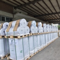 60um blanc brillant PP perle Film papier adhésif nacré étiquette matériel Jumbo Rolls brillant blanc PP Jumbo Rolls