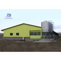 Conception architecturale de structure en acier pour la construction d'un poulailler pour 1000 poulets