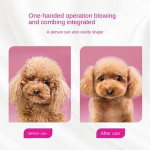 Sèche-<span class=keywords><strong>cheveux</strong></span> et brosse lissante 2-en-1 de luxe en plastique pour animaux de compagnie, température réglable pour petits chiens, alimentation par charge, utilisation facile - Product Image 5