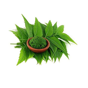 ผงสารสกัดแห้งจากใบสะเดา (Azadirachta Indica) ผงสมุนไพรจากใบไม้ วัตถุดิบจากพืชธรรมชาติสำหรับอาหารเสริม - Product Image 3