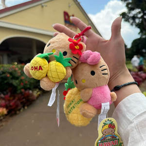 Llavero de peluche de Hello Kitty marrón de 12 cm, con luz, diseño 3D de dibujos animados, portátil, con impresión digital, marca SHILI, colgante para bolso, con garra. - Product Image 2