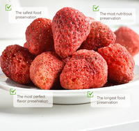 Airwoods 20Kg Kleine Vacuüm Vriesdroger Mini Fruit Food Kleine Bedrijven Vriesdroger Voedselmachine