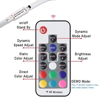 Bande LED d'ambiance pour téléviseur LCD à commande intelligente, alimentée par USB, avec télécommande RF