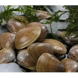 Vongole a collo corto confezionato sottovuoto con certificazione MSC congelata sana e deliziosa