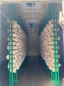 Contenedor de Cultivo de Hongos de 20/40 pies con Sistema de Control Climático para el Cultivo de Hongos Ostra/Shiitake/Manzana de León/Hongo de Botón - Product Image 2