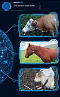 Longue durée de vie batterie de vache bovins mini gps traqueur de suivi de périphérique