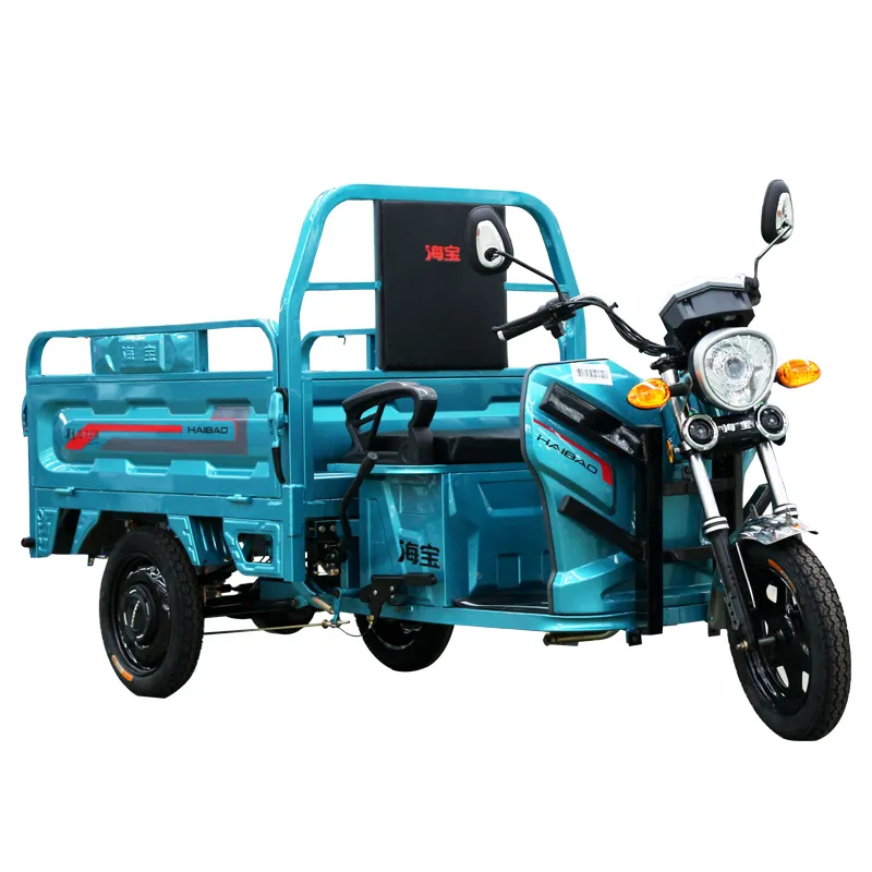 2020 novo design de energia 60v1000w van moped carga triciclo elétrico