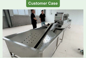 Laveuse automatique industrielle d'œufs de poulet en acier inoxydable, machine de nettoyage, de lavage et de séchage des coquilles d'œufs de canard et d'oie, capacité 4800 œufs - Product Image 2