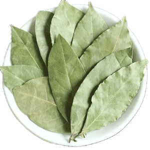 Hojas de Laurel naturales <span class=keywords><strong>secas</strong></span> de hierbas al por mayor - Product Image 1
