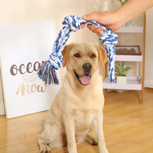 Vente flash - Jouets interactifs pour chiots en corde de coton de qualité supérieure - Jouets à mâcher pour chiens - Product Image 2