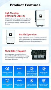 EU Stock 12KW Three Phase Hybrid Inverter SUN-3/4/5/6/8/10/12K-SG05LP3-EU-SM2 for Lithium Battery Storage - Product Image 5