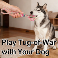 Jouet à mâcher en corde pour chien, résistant aux morsures, en coton, personnalisable, idéal pour la dentition des chiots et les jeux en extérieur