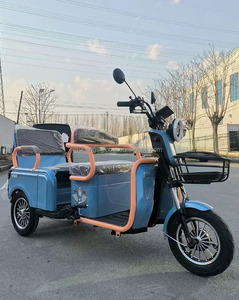 Scooter électrique YINGWU à 3 roues, <span class=keywords><strong>transport</strong></span> <span class=keywords><strong>de</strong></span> marchandises, tricycle électrique, moto pour adultes - Product Image 3