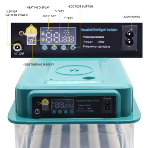Incubadora de Huevos para Pollos con Reposición Automática de Agua y Ventilación que Crea un Entorno de Incubación Más Adecuado - Product Image 4