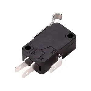 KW7 Hinge lever prong micro switch