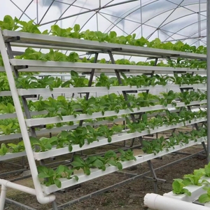 Sistema de Cultivo Hidropónico NFT en Invernadero con Tubería de PVC, Bomba de Circulación de Agua Automatizada, Canal de Plantación de Vegetales de Alta Productividad - Product Image 3