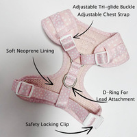 Harnais pour chien rose imprimé personnalisé – Ensemble tendance rembourré, respirant, durable, réglable, à fermeture rapide, motif léopard