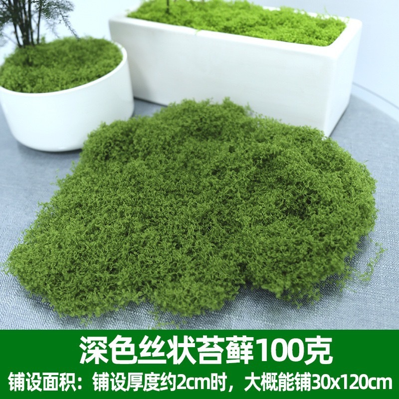 สีเขียวเข้ม 100g