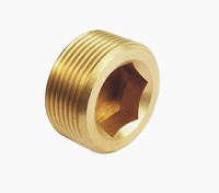 1/8 1/4 3/8 1/2 3/4 1 pouce bouchon à vis conique pour eau air carburant Pipeline Pack Bsp bouchon en laiton 1/8 NPT joint affleurant bouchon de tuyau en laiton