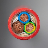 Cable de Alimentación de Bajo Voltaje de 3 Núcleos, Aislado con PVC Rojo, 1 KV/0.6 KV, 1.5mm2 2.5mm2 4mm2, Cobre Desnudo para Máquina de Soldar