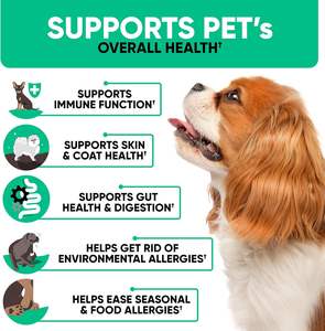 Supplementen Voor Allergie Voor Huisdieren Met Omega & Marshmallow-Wortel Voor Zachte Kauwtjes Voor Honden-Niet-Gmo Natuurlijke Ingrediënten Huid En Vacht Gezondheid - Product Image 3