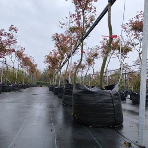 HOKBG directo de fábrica granja vivero maceta crecer bolsa árbol plántulas maceta para planta crecer bolsa jardín grande maceta para árbol - Product Image 1