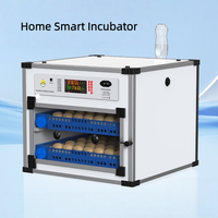 Machine d'incubation automatique d'œufs de poulet en ligne, incubateurs industriels d'œufs pour élevages avicoles