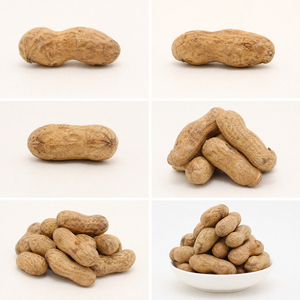 Cacahuetes Tostados en Cáscara Mini Premium al por Mayor OEM, Snack de <span class=keywords><strong>Cacahuete</strong></span> a Granel 5kg Directo de Fábrica - Product Image 3