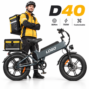 Vélo électrique D40 750W 48V40AH avec batterie, écran couleur 3,8 pouces, étanche, OEM pour la livraison, directement de l'usine - Product Image 1