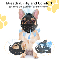 PETBUDDY Museau court respirant pour chien bouledogue