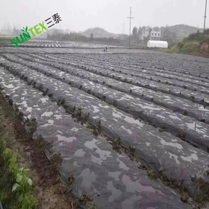 Couverture des champs cultivés agricoles Feuille de film paillage en plastique noir de 20 microns pour cultures maraîchères - Product Image 5