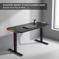 Table de jeu AOR avec fonction mémoire, table réglable, plateau silencieux E0, vente en gros d'usine, protection contre la surchauffe
