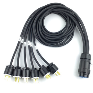 Cable de Distribución de Energía de 19 Pines, 6 Vías, 15A, 125V, Enchufe Industrial, Divisor, Cable Pigtail - Product Image 2