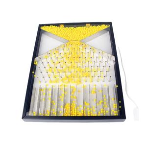 <span class=keywords><strong>Galton</strong></span> <span class=keywords><strong>Board</strong></span> Dalton <span class=keywords><strong>Board</strong></span> Science Physique École Instrument d'enseignement Phénomène aléatoire Modèle d'expérience de démonstration - Product Image 1