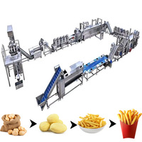 Productielijn voor snelgevroren frieten op maat, capaciteit 100-3000 kg/uur, volautomatisch, prijs