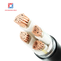 Feuerfestes Industriekabel NH-YJV22 für Elektrische Systeme 0,6/1KV Sauerstofffreies Kupfer XLPE-Isolierung