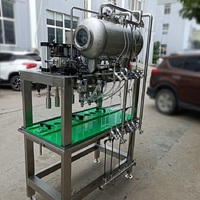 TEKBREW Petite machine de remplissage de bouteilles de bière Machine de remplissage et de capsulage de bouteilles de bière à contre-pression Prix d'usine