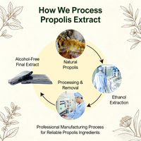 BEEHALL Propolis d'origine abeille avec procédé d'extraction à l'éthanol pour applications industrielles