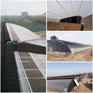 Passivo Serra Solare Tunnel Serre Campata unica Casa Verde con Trapunta per Zona Fredda per UZ/KZ/TJR/Russia per Idroponica