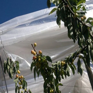 Red de Protección Contra la Lluvia, Estructura de Red Agrícola Resistente, Ideal para Proteger Cultivos de Lluvia Intensa, Granizo y Condiciones Adversas - Product Image 1