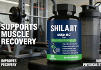 Capsules de résine de Shilajit de l'Himalaya OEM avec Ashwagandha, Ginseng, Saw Palmetto - Complément alimentaire à base de plantes pour adultes, améliore l'immunité, 60 capsules