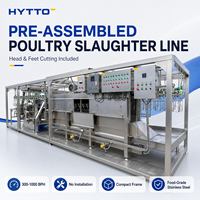 Ligne d'abattage de volailles CE 304 en acier inoxydable Halal à faible coût, machine de traitement de volailles, système 800 BPH