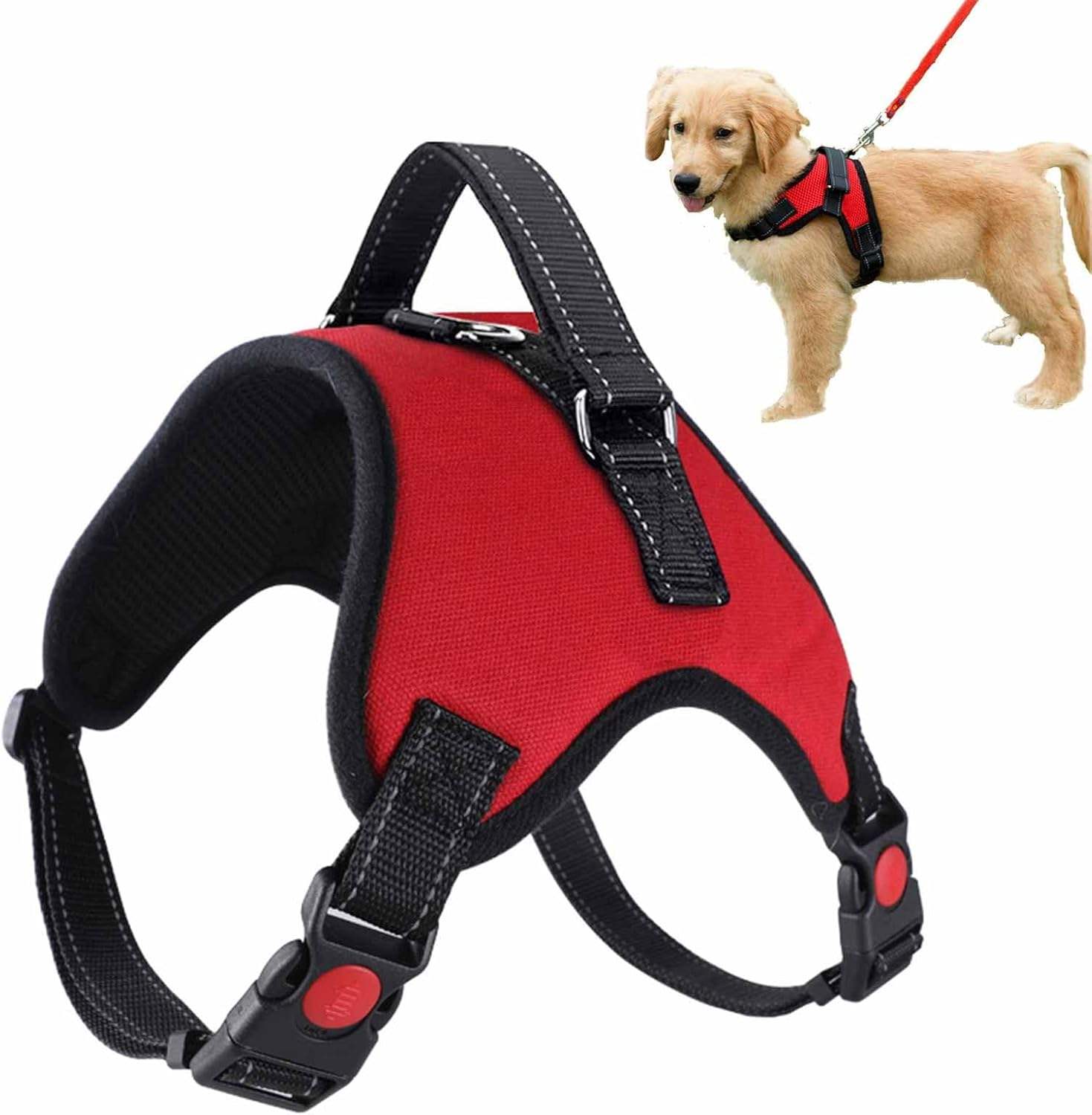 รายการ A