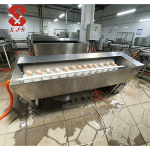Lavadora de Huevos Automática de Alta Eficiencia, Máquina <span class=keywords><strong>El</strong></span>éctrica <span class=keywords><strong>para</strong></span> Limpiar Huevos de Gallina y Pato - Product Image 1