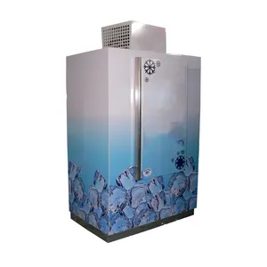 Cold Wall 100 Bags Solid Door Ice Chamber Stainless Steel Ice Bin