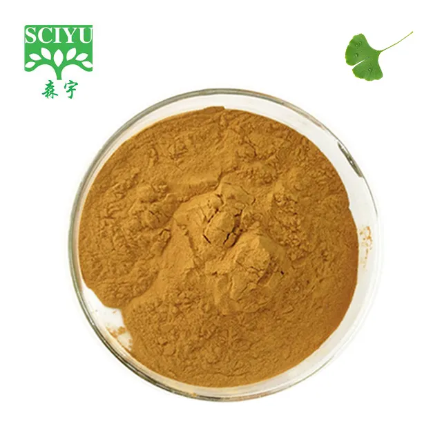 Wholesale Ginkgo Biloba Extract Powder With 24% Flavone