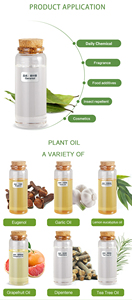 Diffuseur d'huile parfumée personnalisée longue durée pour les quatre <span class=keywords><strong>saisons</strong></span>, parfum concentré pour hôtel d'hiver - Product Image 5